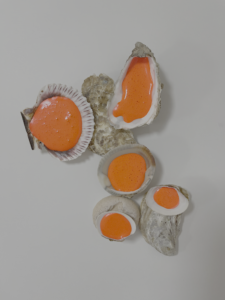 Coquillages aquarelle