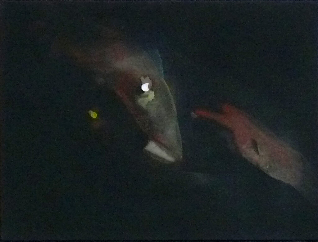 surpris avec oeil jaune acrylique sur toile